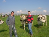 Secteur professionnel : Agriculture-Elevage